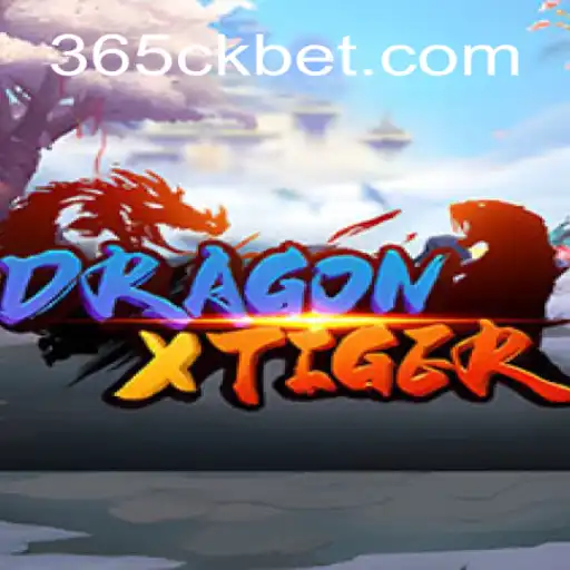 Explorando DragonXTiger: Um Guia Completo para Iniciantes